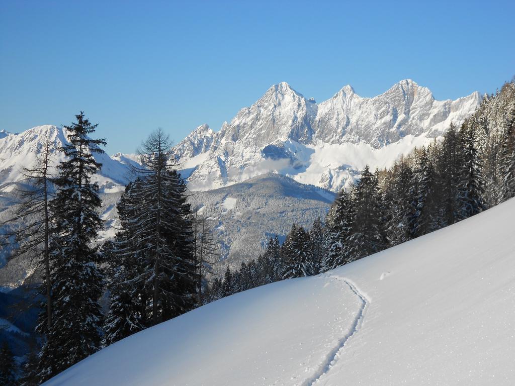 Weitgasserhof Schladming Ngoại thất bức ảnh