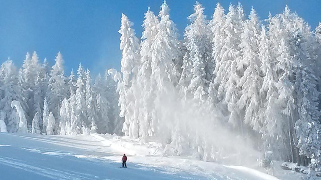 Weitgasserhof Schladming Ngoại thất bức ảnh